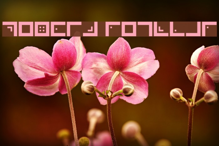 Xenois Regular Font examples