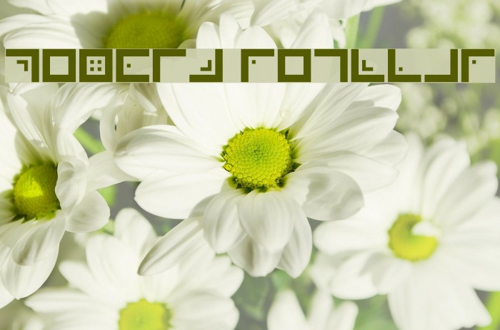 Xenois Regular Font examples