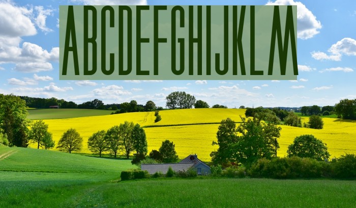 Xenophobia Nominal Font examples