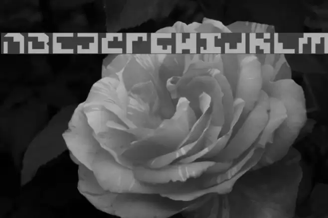 Xenophobia Font examples