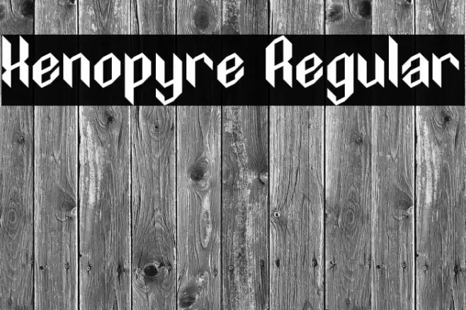 Xenopyre Regular Font examples