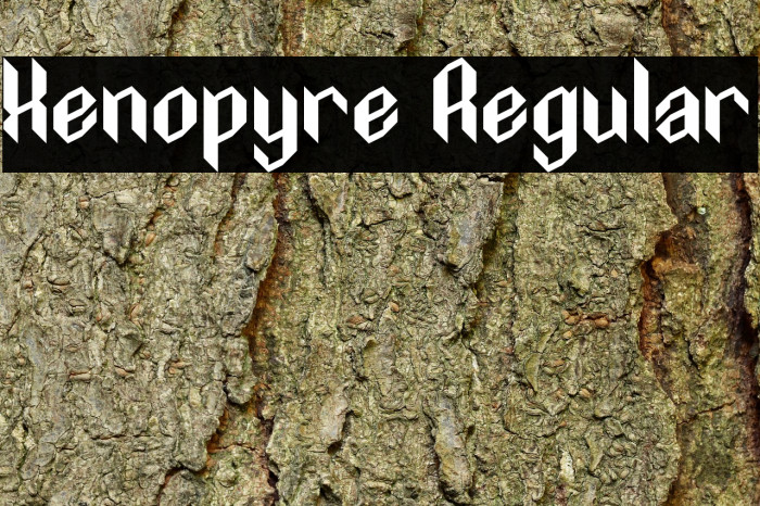 Xenopyre Regular फ़ॉन्ट examples