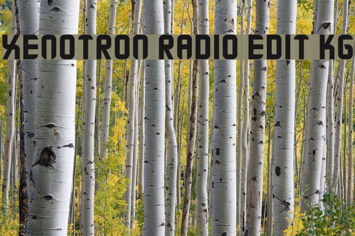 Xenotron Radio Edit KG Font examples