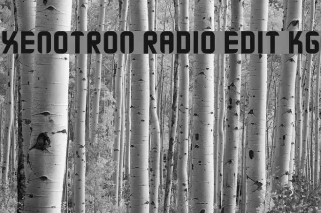 Xenotron Radio Edit KG Example 2