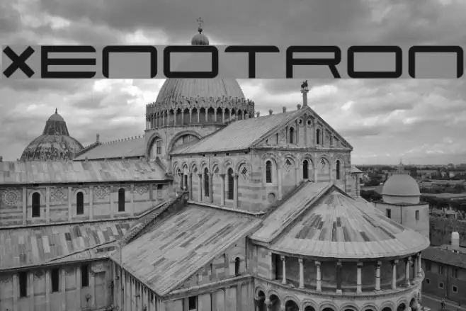 Xenotron Example 3