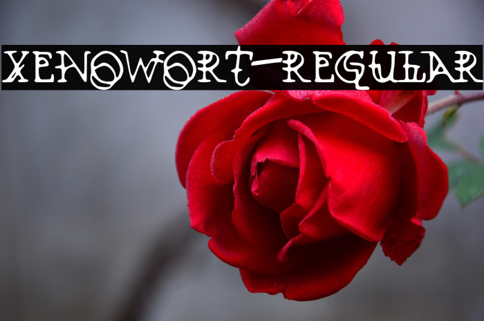 Xenowort-Regular Example 2