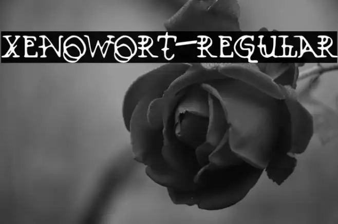 Xenowort-Regular Example 2