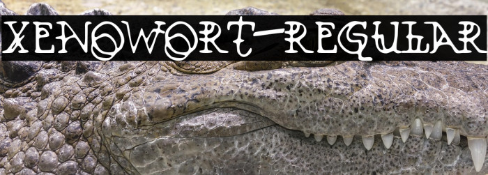 Xenowort-Regular Example 3