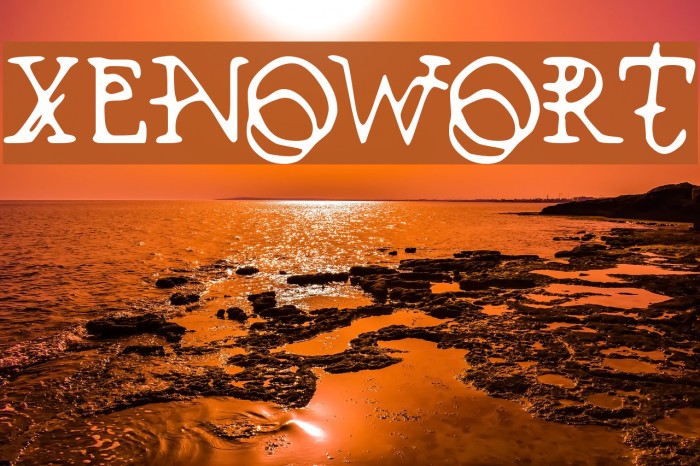 Xenowort Font examples