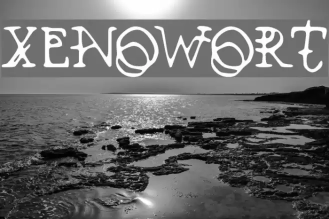 Xenowort フォント examples