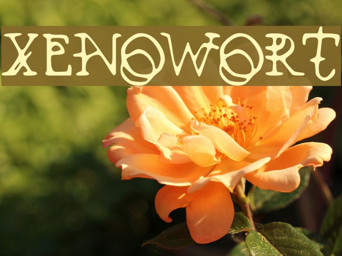 Xenowort Font examples