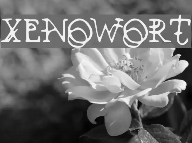 Xenowort フォント examples