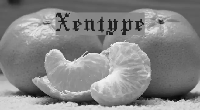 Xentype Example 1
