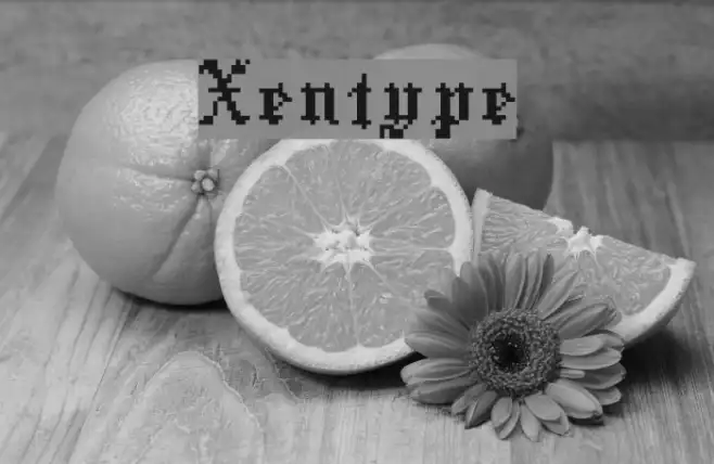 Xentype Example 3