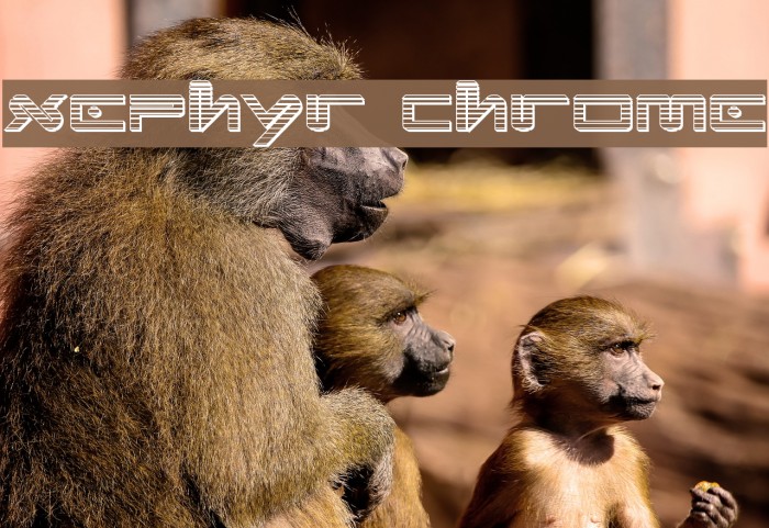 Xephyr Chrome Font examples