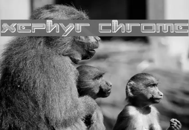 Xephyr Chrome Example 1