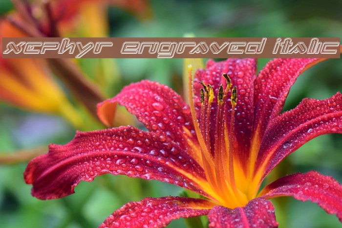 Xephyr Engraved Italic Example 2