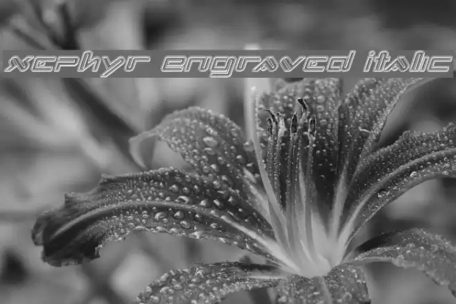 Xephyr Engraved Italic Font examples