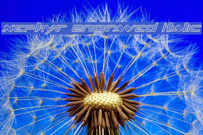 Xephyr Engraved Italic Example 3