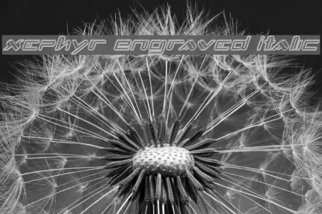 Xephyr Engraved Italic Font examples