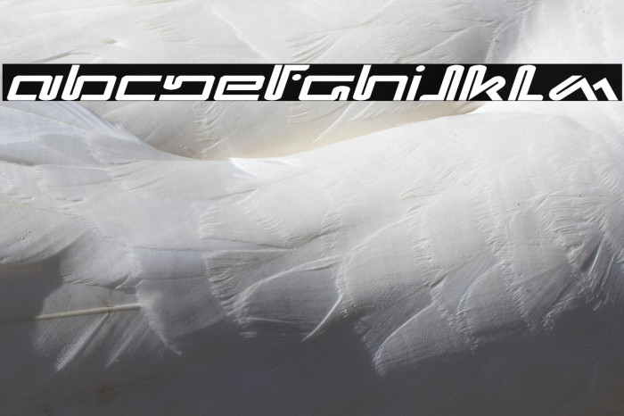 Xephyr Expanded Italic Example 1