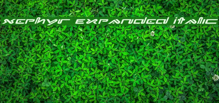 Xephyr Expanded Italic Font examples