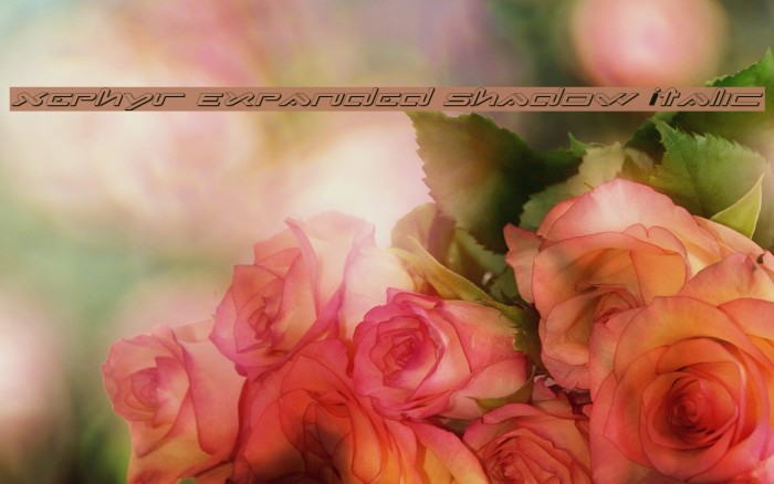 Xephyr Expanded Shadow Italic Font examples