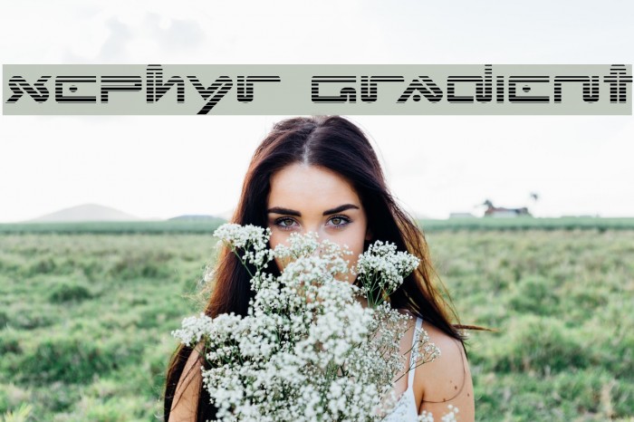 Xephyr Gradient Font examples