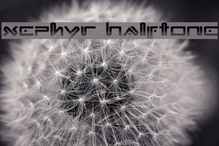 Xephyr Halftone Font examples