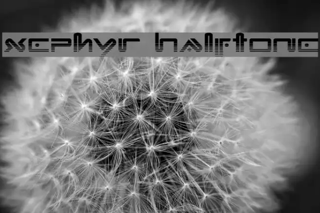 Xephyr Halftone Example 1