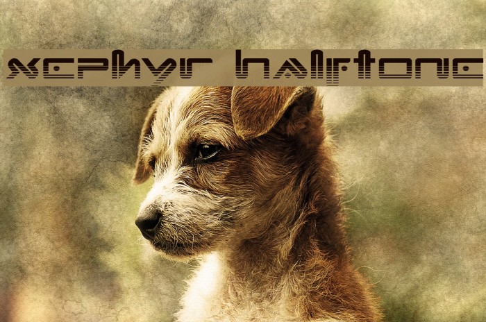 Xephyr Halftone Font examples