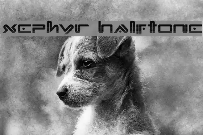 Xephyr Halftone Example 2
