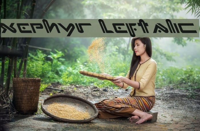 Xephyr Leftalic Font examples