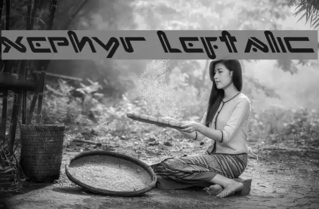 Xephyr Leftalic Шрифта examples