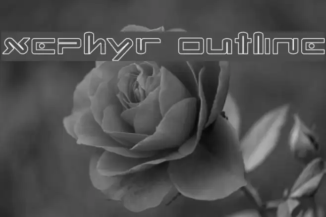 Xephyr Outline Example 2