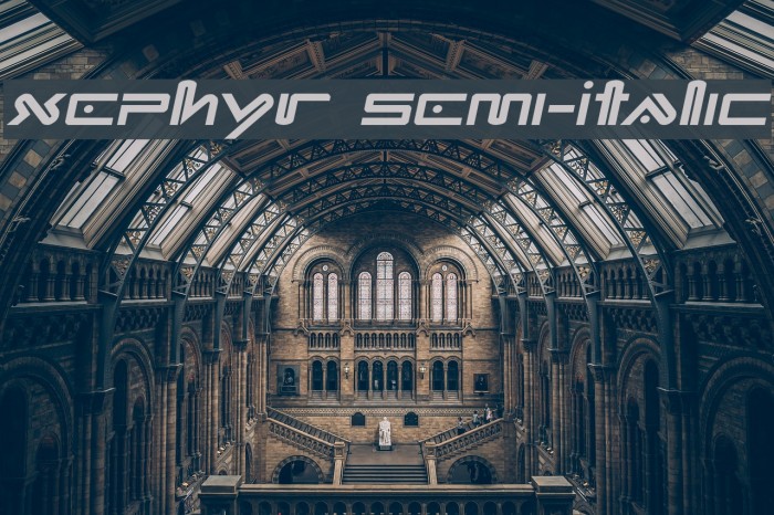 Xephyr Semi-Italic Font examples
