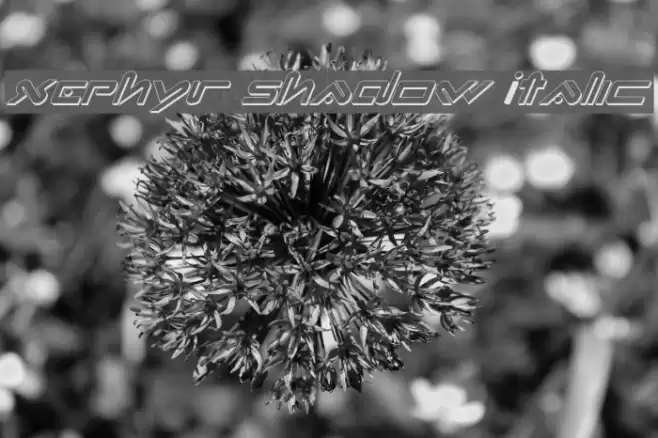 Xephyr Shadow Italic Schriftart examples