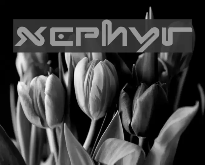 Xephyr Font examples