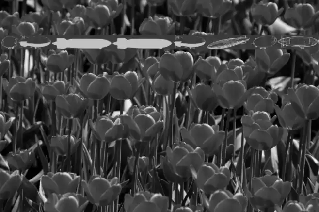 Xeppelin Font examples