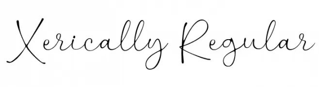 Xerically Regular خط