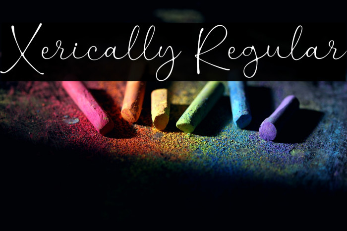 Xerically Regular Example 3