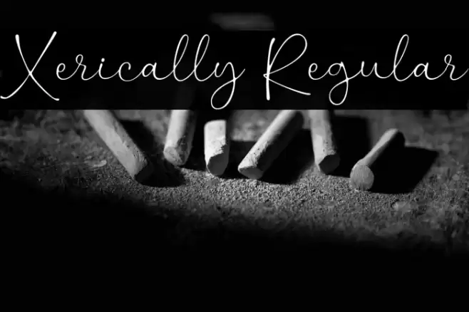 Xerically Regular خط examples