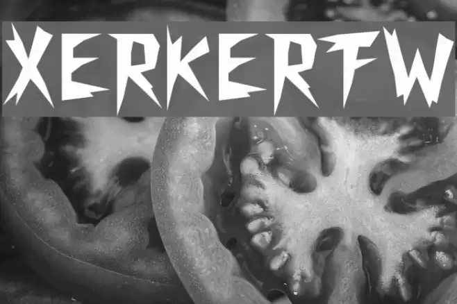 XerkerFW Font examples