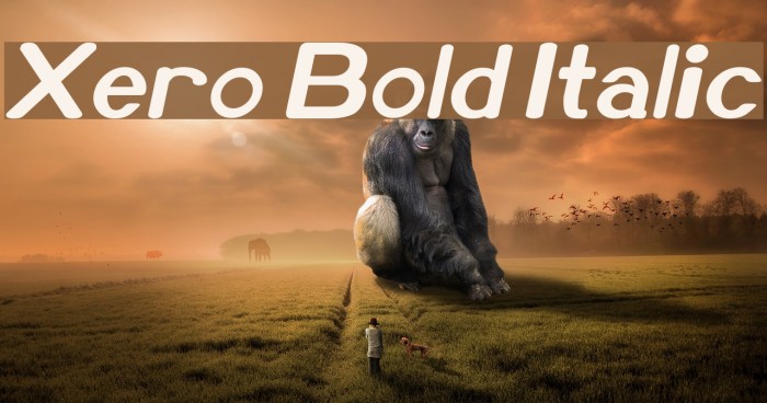 Xero Bold Italic Font examples
