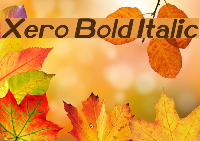 Xero Bold Italic Font examples