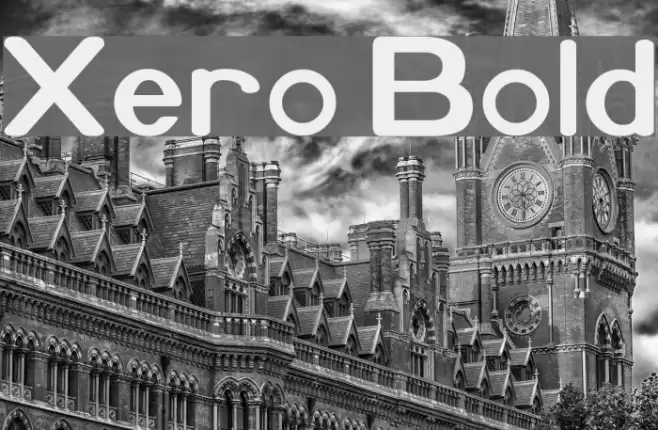 Xero Bold Font examples