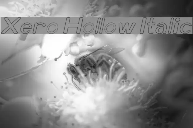 Xero Hollow Italic Font examples