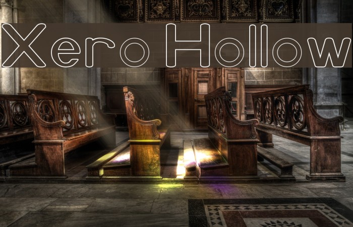 Xero Hollow Example 1