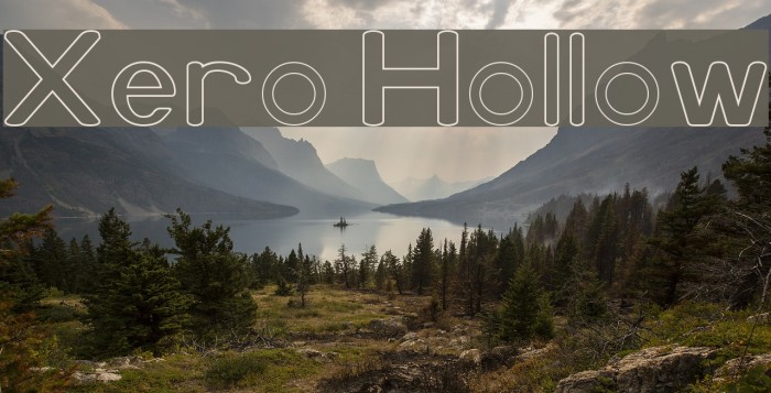 Xero Hollow Example 2