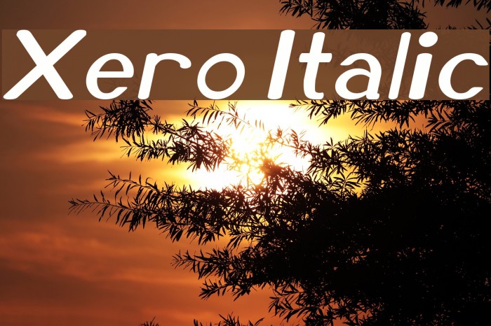 Xero Italic Example 1